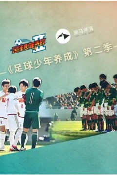 足球少年养成第二季