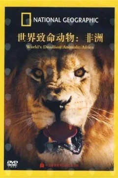 非洲致命动物第三季