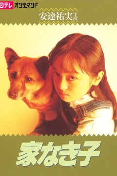 无家可归的小孩