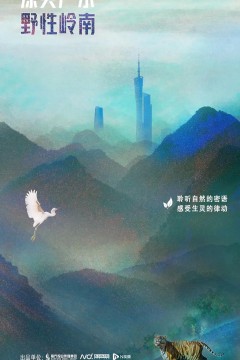绿美广东·野性岭南