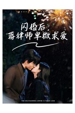 闪婚后蒋律师卑微求爱(闪婚后高冷律师疯狂宠)